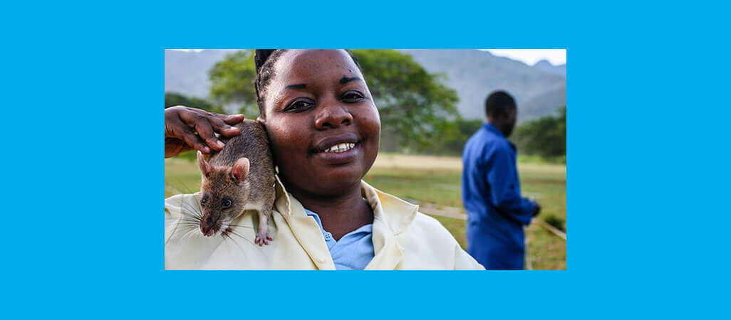 Lou's Charity: Apopo HeroRats training rats to save lives